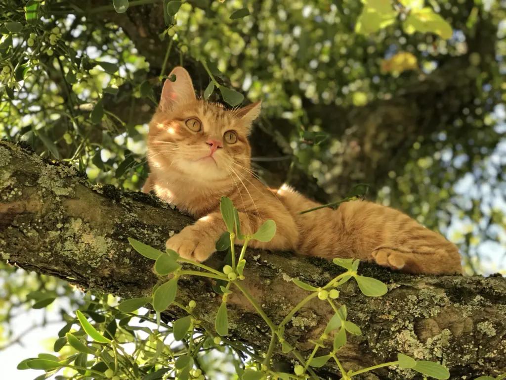 Фото из личного архива Василики