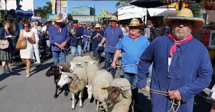 Sheep procession, Schueberfouer, Luxembourg