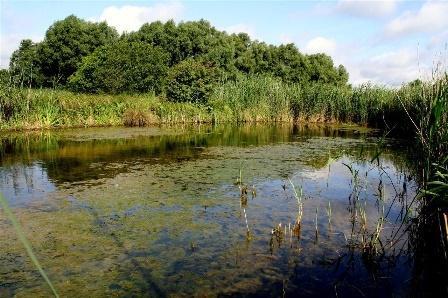 Réserve naturelle de Schlammwiss, source : Site internet de Schlammwiss